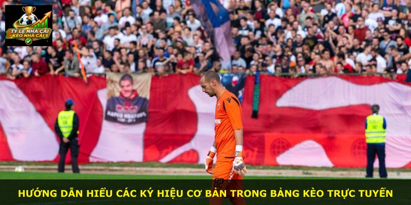 Hướng dẫn hiểu các ký hiệu cơ bản trong bảng kèo trực tuyến