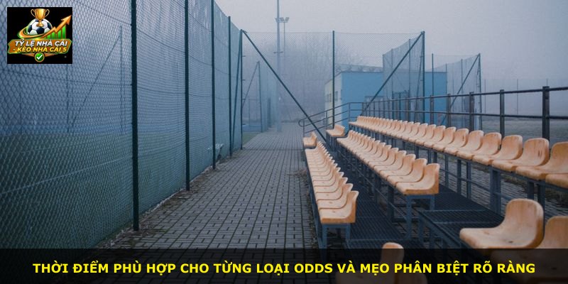 Thời điểm phù hợp cho từng loại odds và mẹo phân biệt rõ ràng