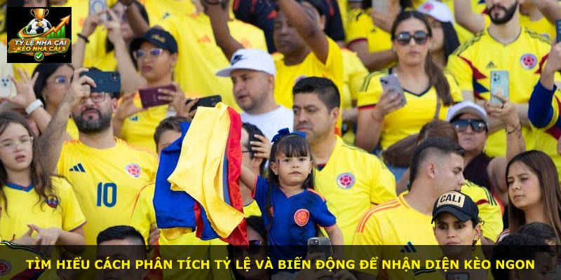 Tìm hiểu cách phân tích tỷ lệ và biến động để nhận diện kèo ngon