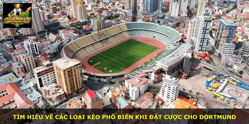 Tìm hiểu về các loại kèo phổ biến khi đặt cược cho Dortmund